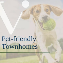 a dog running with a ball